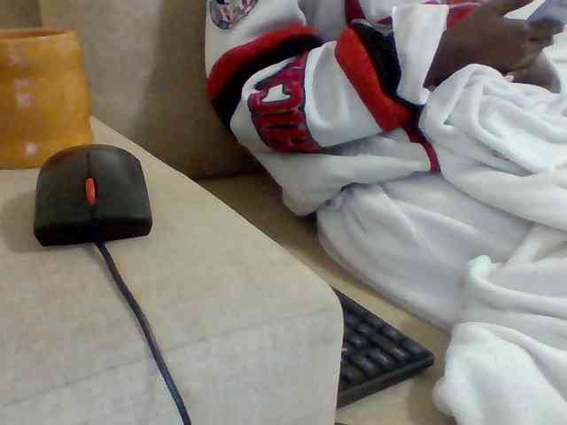 Dollie webcam