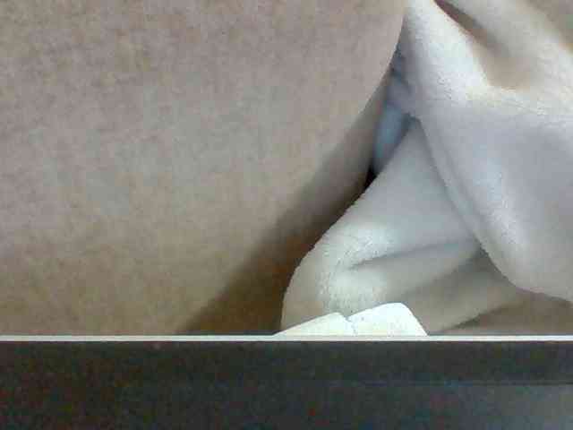 Dollie webcam