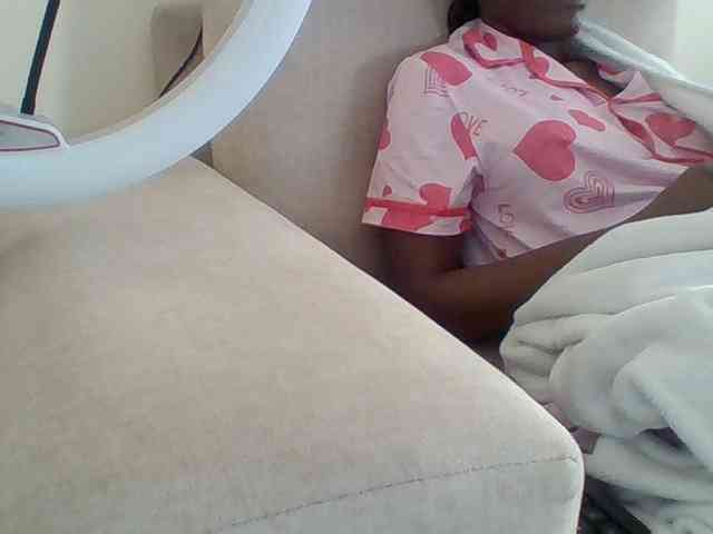 Dollie webcam