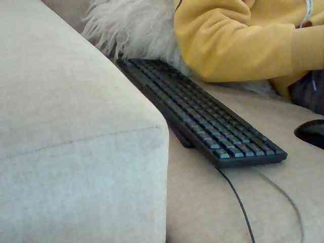 Dollie webcam