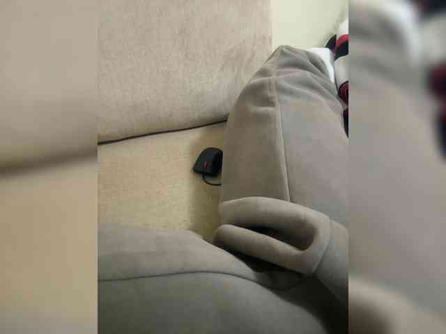 Dollie webcam