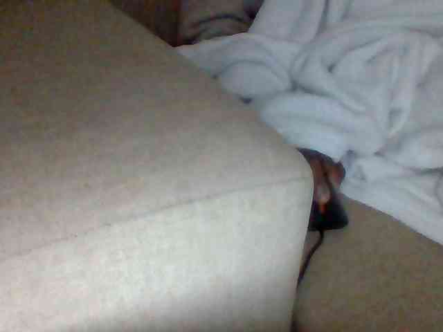Dollie webcam
