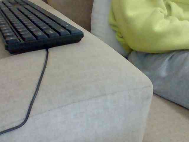 Dollie webcam