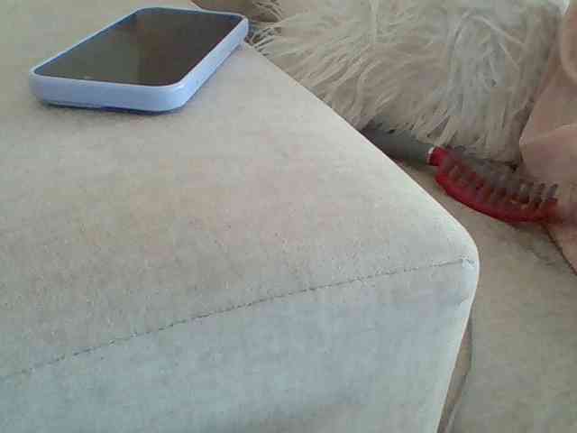 Dollie webcam