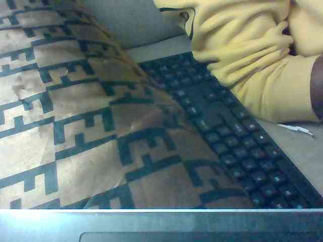 Dollie webcam