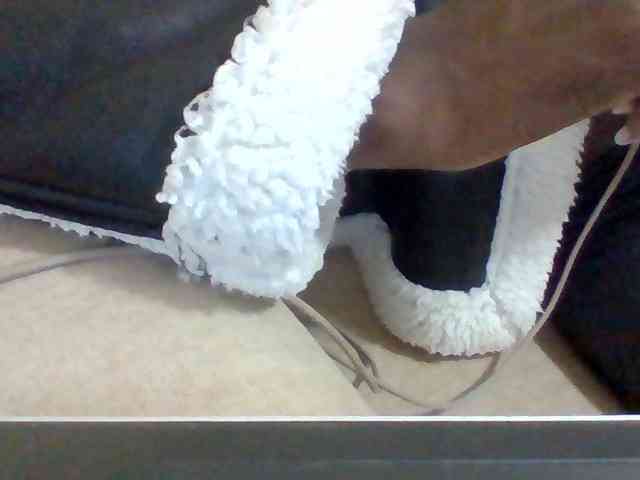 Dollie webcam