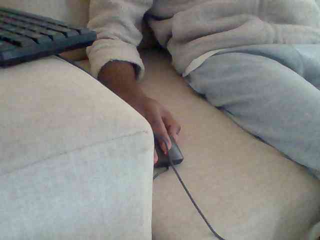 Dollie webcam