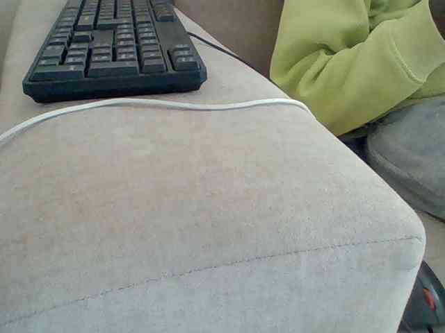 Dollie webcam