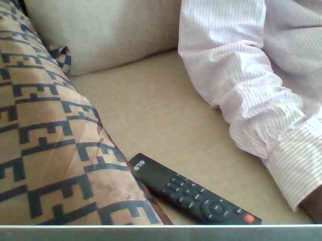 Dollie webcam