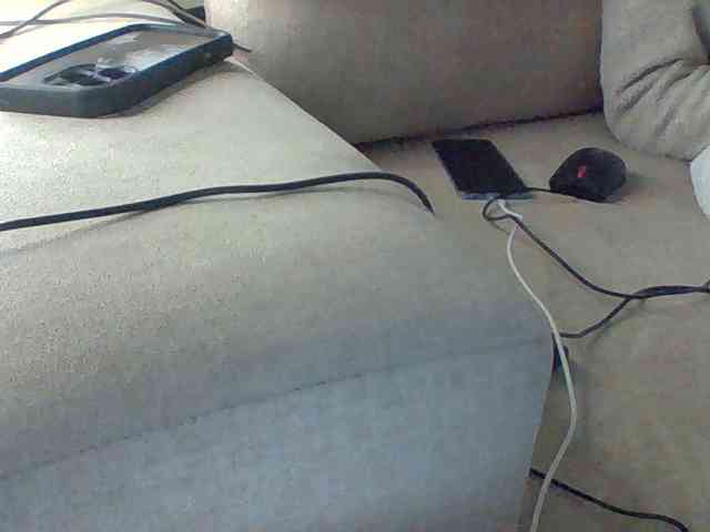 Dollie webcam