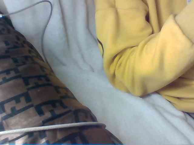Dollie webcam