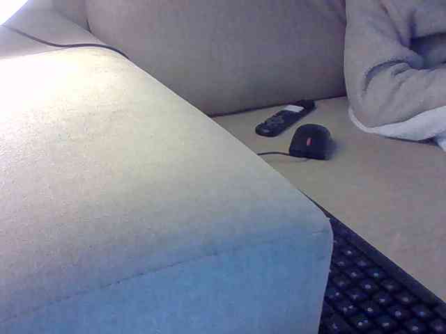 Dollie webcam