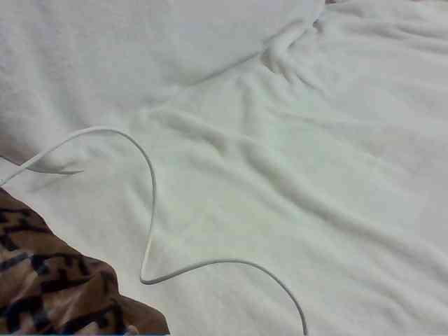 Dollie webcam