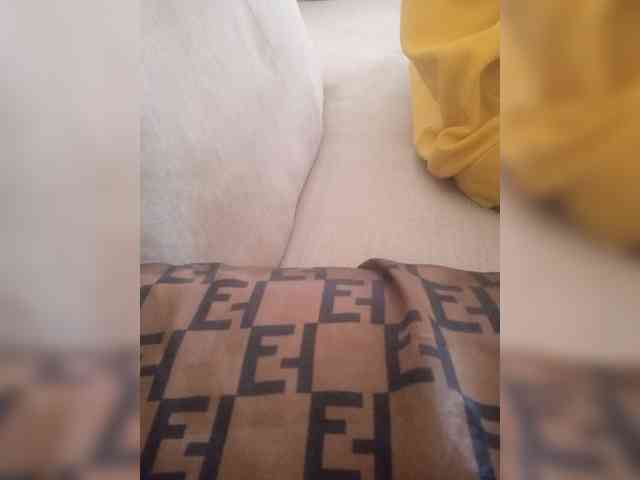Dollie webcam