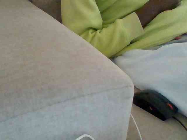 Dollie webcam