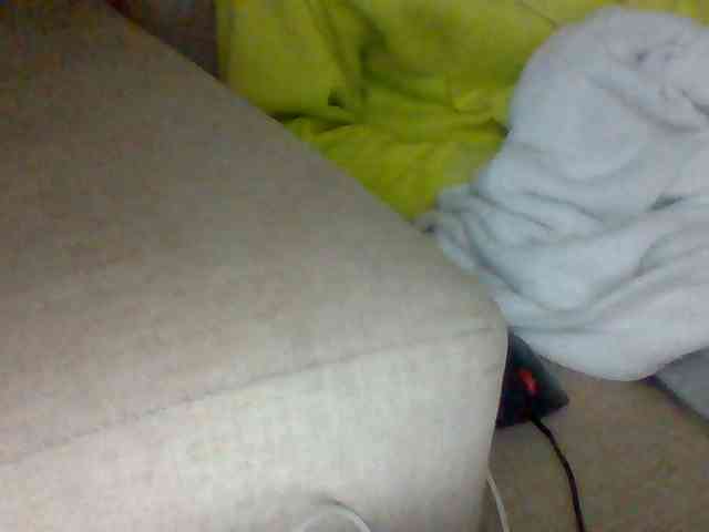 Dollie webcam