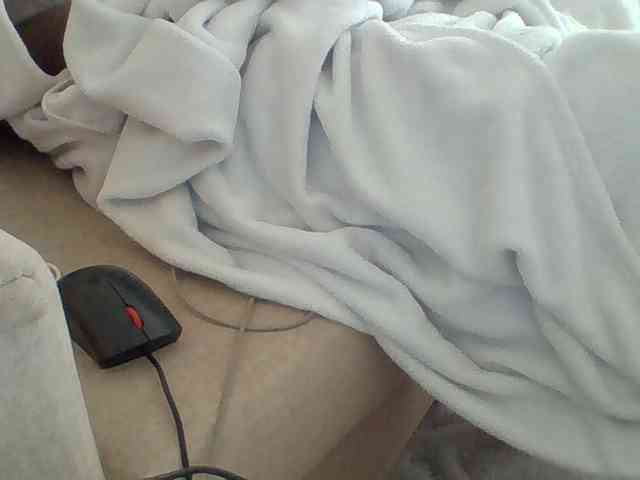 Dollie webcam