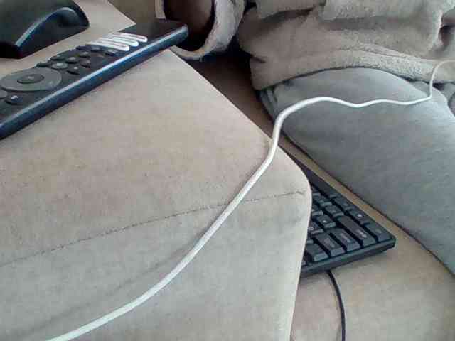 Dollie webcam