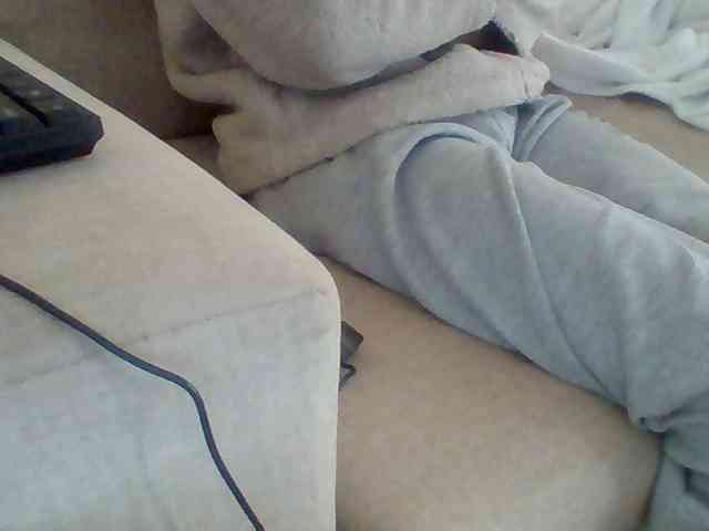 Dollie webcam