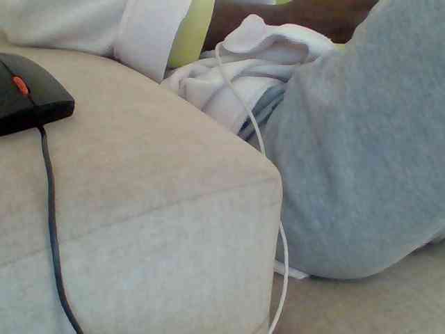 Dollie webcam