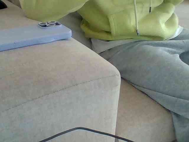 Dollie webcam