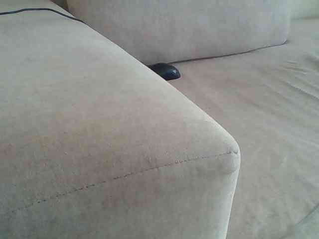 Dollie webcam