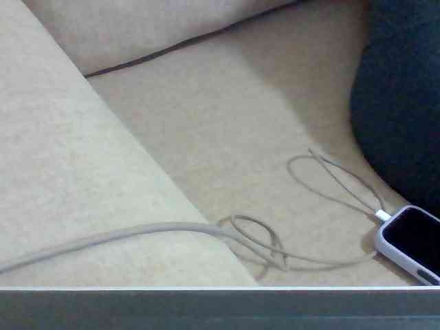 Dollie webcam