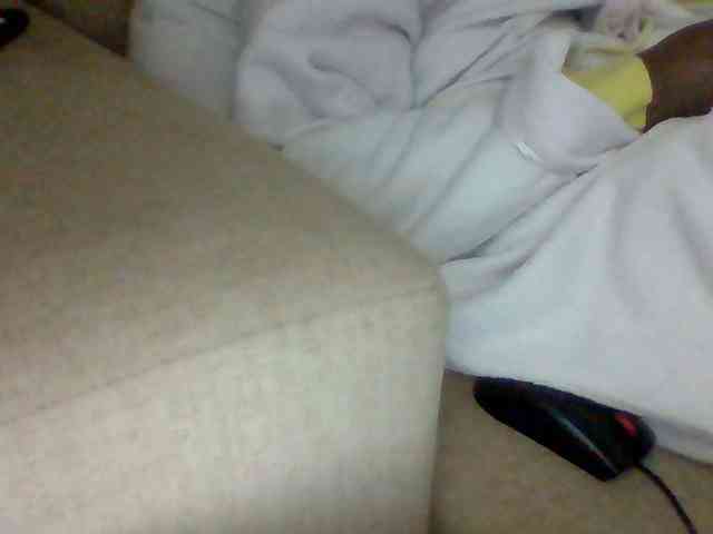 Dollie webcam