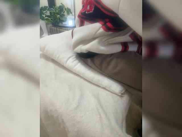 Dollie webcam