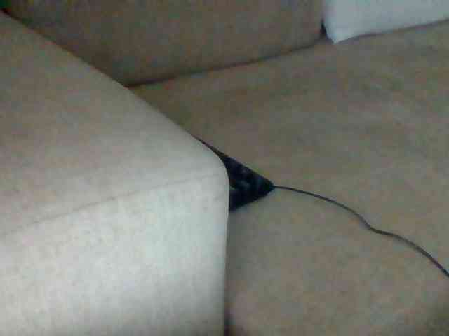 Dollie webcam