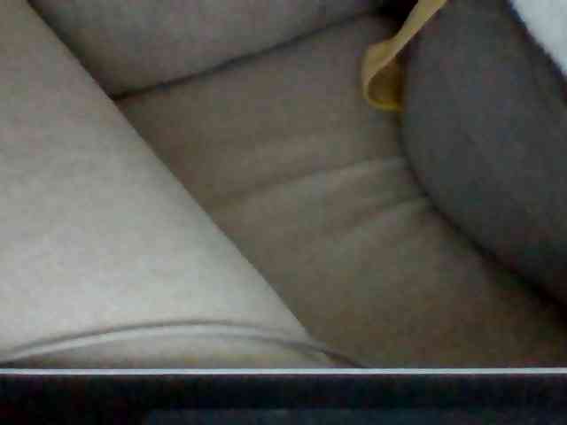 Dollie webcam
