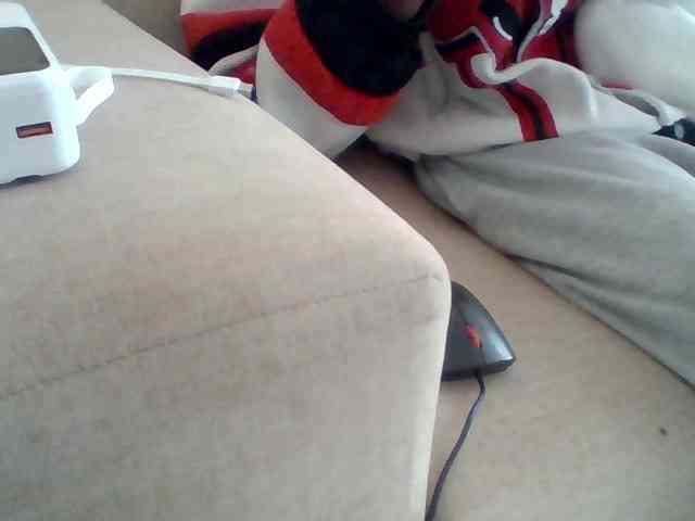 Dollie webcam