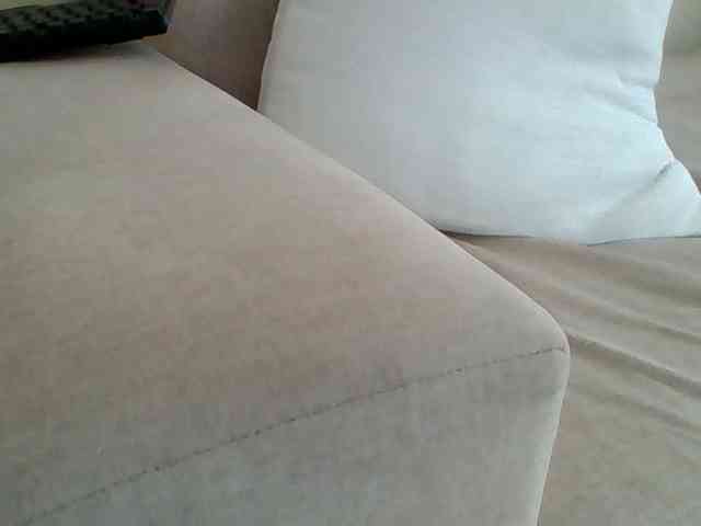 Dollie webcam