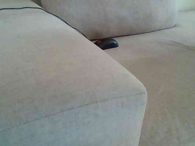 Dollie webcam