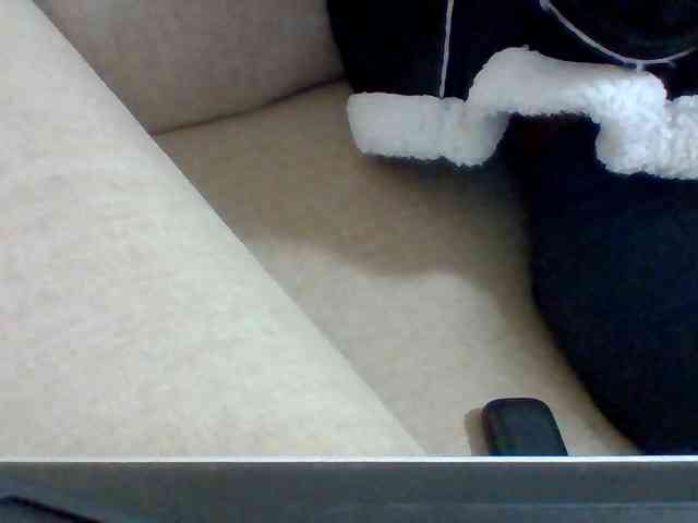 Dollie webcam