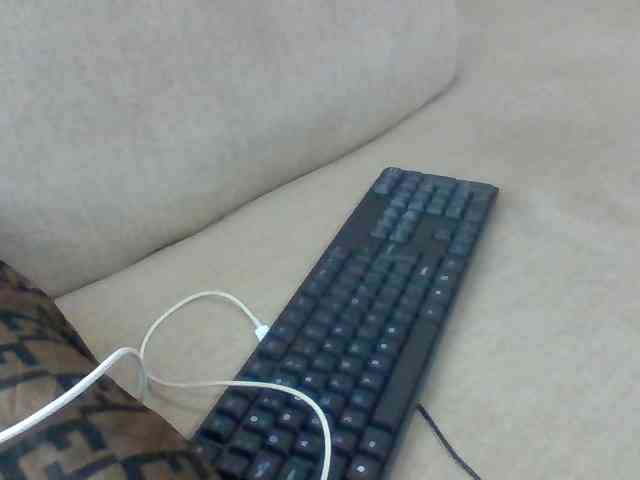 Dollie webcam