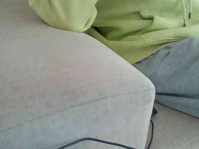 Dollie webcam