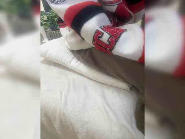 Dollie webcam