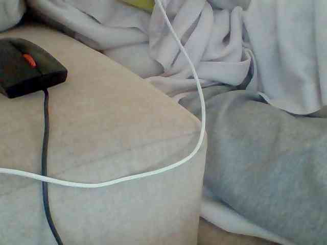 Dollie webcam