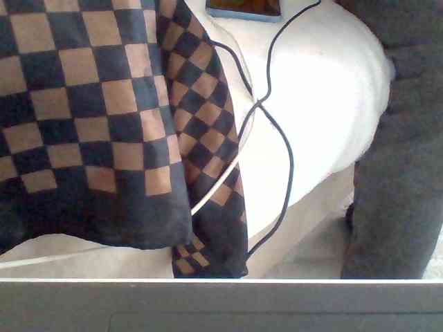 Dollie webcam
