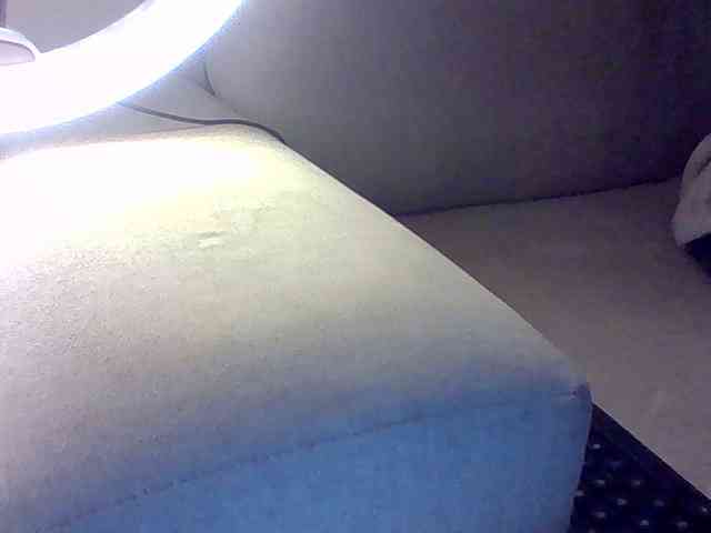 Dollie webcam