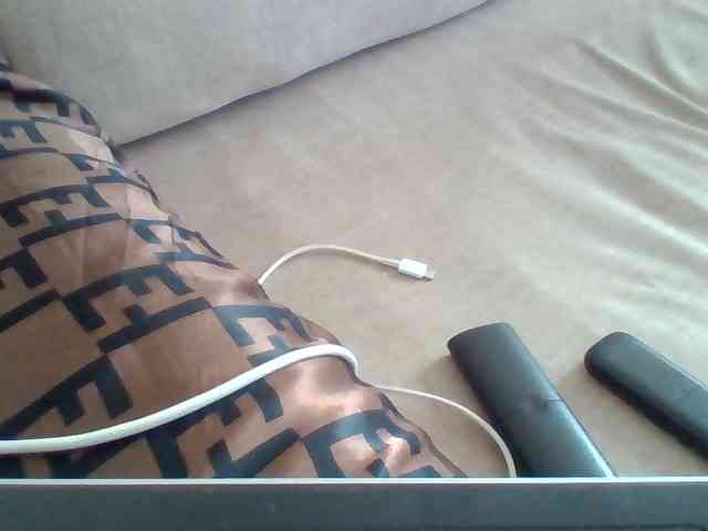 Dollie webcam
