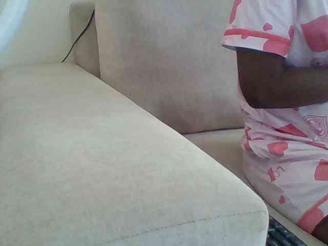 Dollie webcam