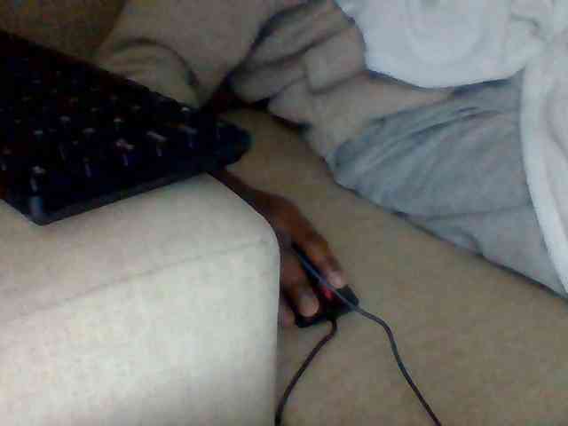 Dollie webcam