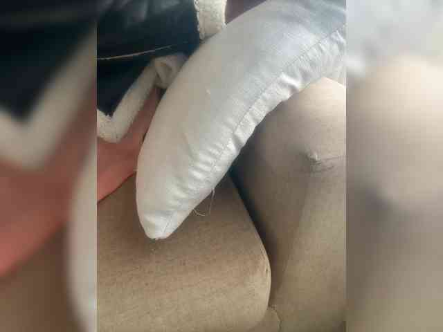 Dollie webcam