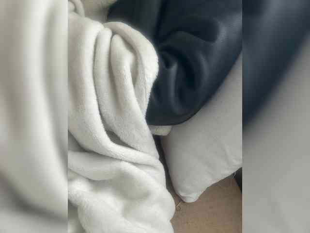 Dollie webcam