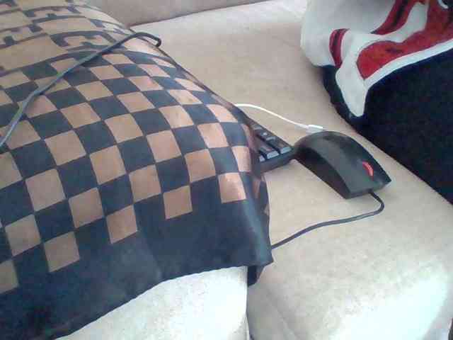 Dollie webcam