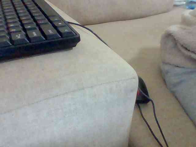 Dollie webcam