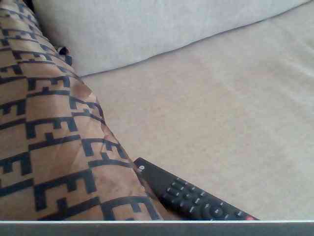 Dollie webcam