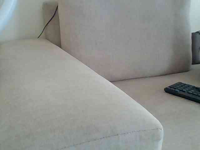 Dollie webcam
